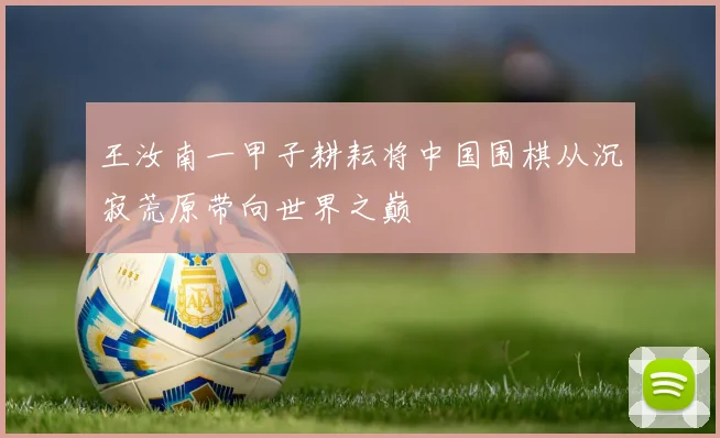 王汝南一甲子耕耘将中国围棋从沉寂荒原带向世界之巅