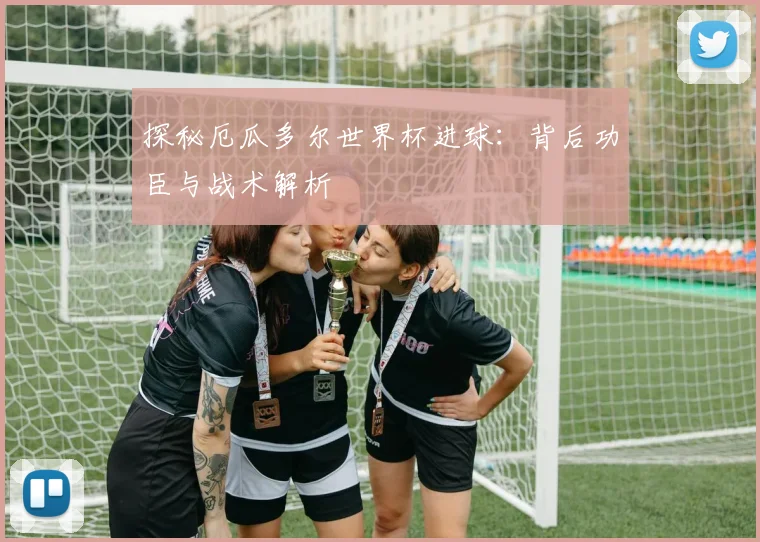 探秘厄瓜多尔世界杯进球：背后功臣与战术解析