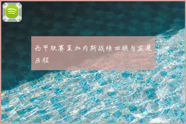 西甲联赛莱加内斯战绩回顾与发展历程