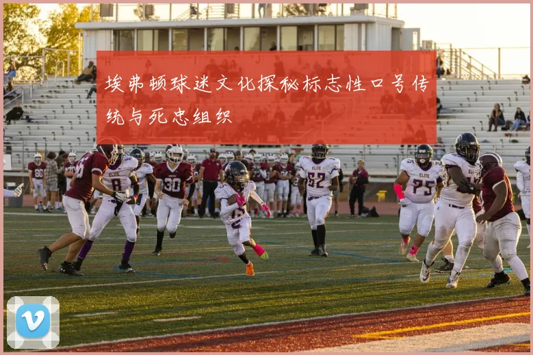 埃弗顿球迷文化探秘标志性口号传统与死忠组织