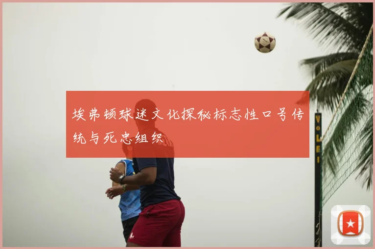 埃弗顿球迷文化探秘标志性口号传统与死忠组织
